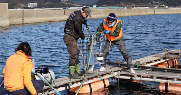 養殖いけすをリアルタイムに監視 長崎大と粕谷製網が開発 陸上からの管理を ｜ 長崎新聞