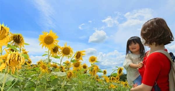 熊本県内が梅雨明け 夏本番へ 総雨量は平年並み 熊本日日新聞 熊本県内が梅雨明け 夏本番へ 総雨量は平年並み 熊本日日新聞