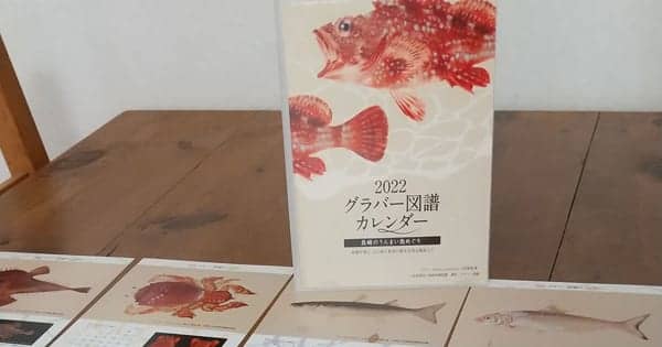 長崎のうんまい魚”ずらり 「グラバー図譜」卓上カレンダー販売 長崎大