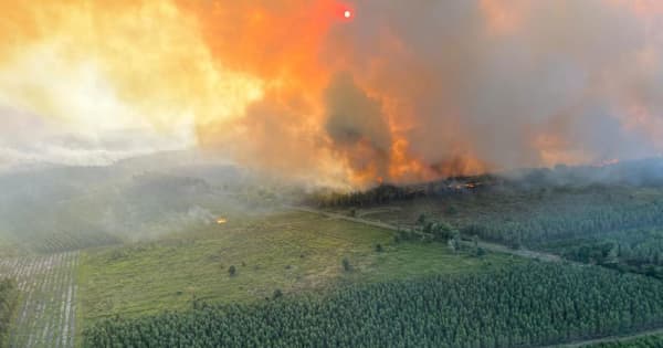 欧州で熱波 山火事や死者も 英で史上最高40度の予測 共同通信 欧州で熱波 山火事や死者も 英で史上最高40度の予測 共同通信