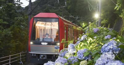 箱根登山鉄道　夜のアジサイ、2年ぶりライトアップ　「あじさい号」は運行せず