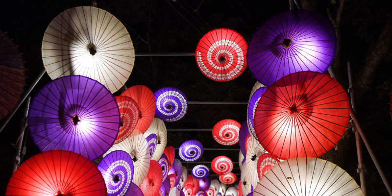 鳥取・大山寺、花を添える和傘　ライトアップ、今年で9回目