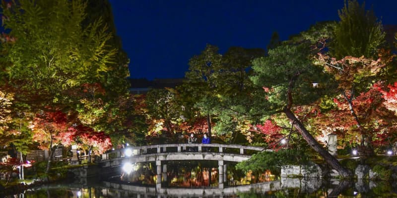 京都の永観堂、闇に浮かぶモミジ　夜の特別拝観前に試験点灯