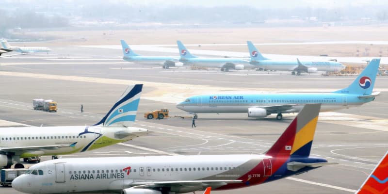 大韓航空とアシアナ統合か　債権団が検討と韓国メディア報道
