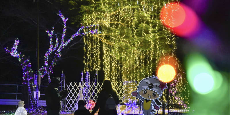 名所の桜並木、電飾で彩り　福島・富岡町の「夜の森」地区