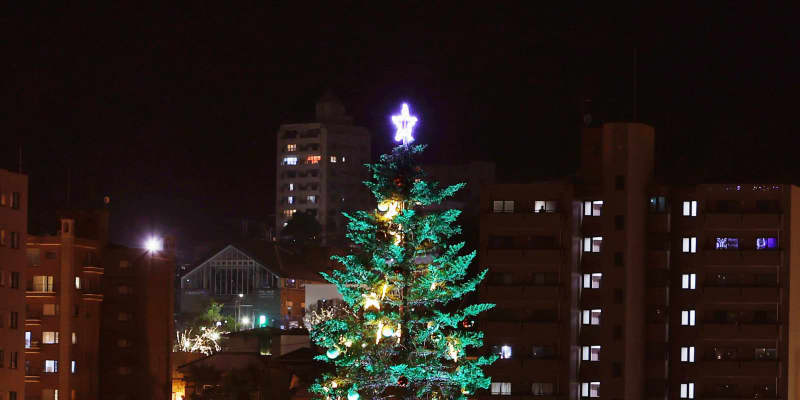 函館がクリスマスの装いに　コロナ禍の中、ツリー点灯