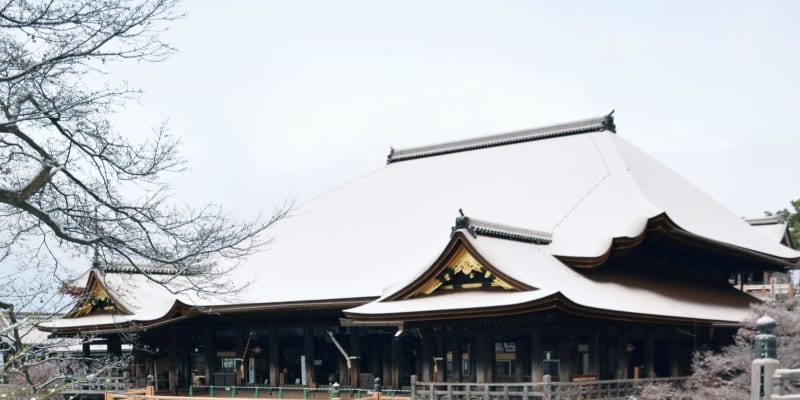 京都の清水寺、金閣寺が雪化粧　舞台真っ白に