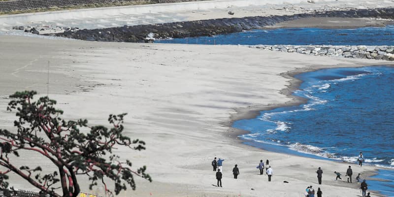 高田松原の砂浜を一般開放　10年ぶり再生