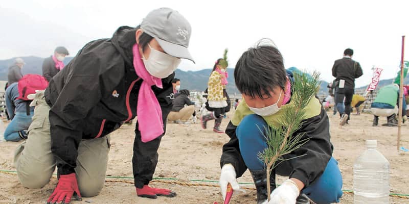 高田松原の再生大詰め　目標の植樹4万本、5月到達