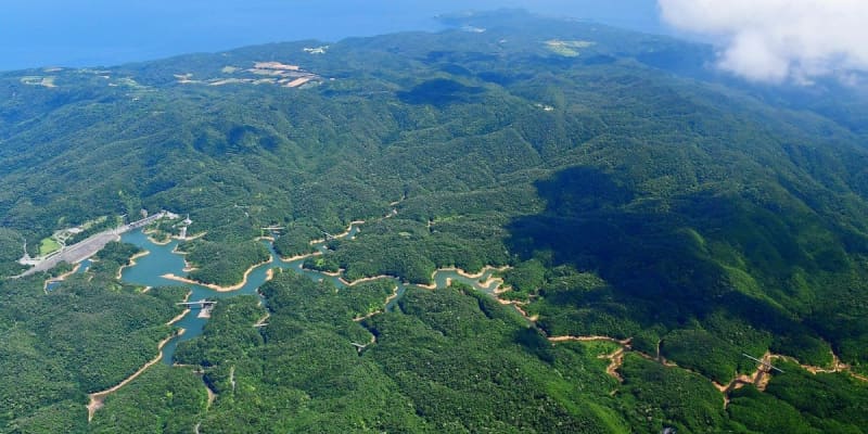 世界自然遺産「奄美・沖縄」の再挑戦　迫る勧告　大型連休に出る可能性も