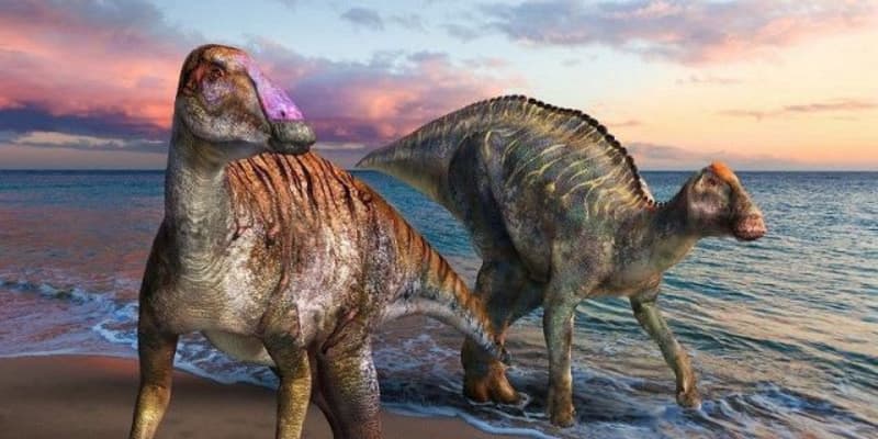 淡路島で発見 化石の恐竜は新種　ヤマトサウルスと命名