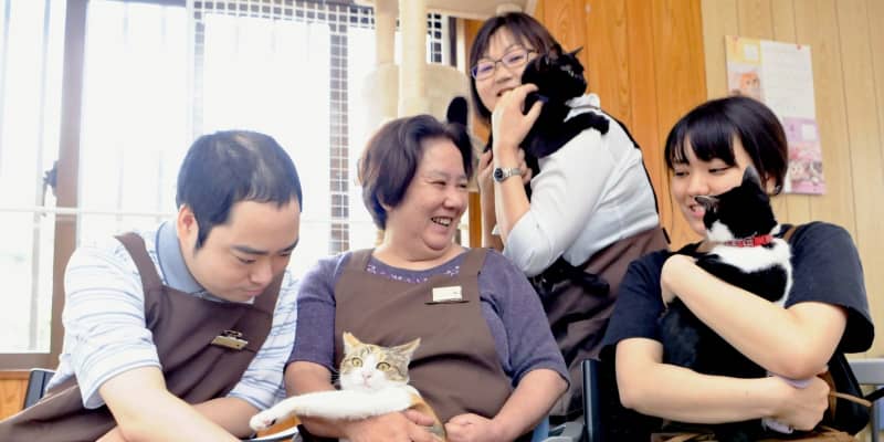 「私たちも、猫たちも、助け合いながら」障がい者の就労施設で保護猫カフェ