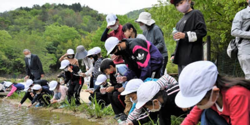 豪雨からビオトープ復旧「生き物戻った」　江田島の古鷹山で観察会