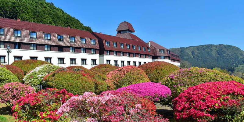 箱根・山のホテルのツツジ3千株が見頃　全国で貴重な品種も