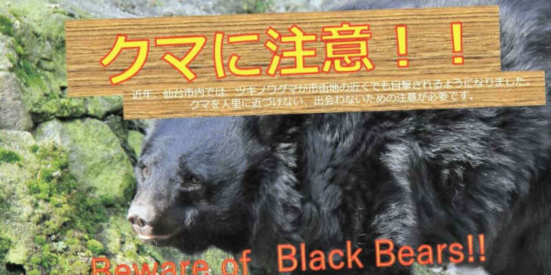 クマ対処法を動画で指南　仙台市、出没増で情報発信強化