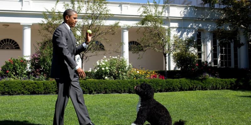 オバマ家の愛犬「ボー」が死去　「親友に別れ」