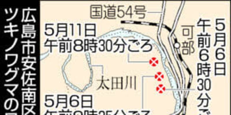 安佐南でクマ目撃3件　5月、太田川沿い