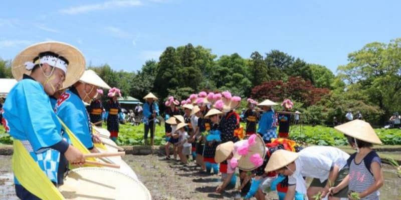 後楽園の「お田植え祭」中止　2年連続、6月13日に予定