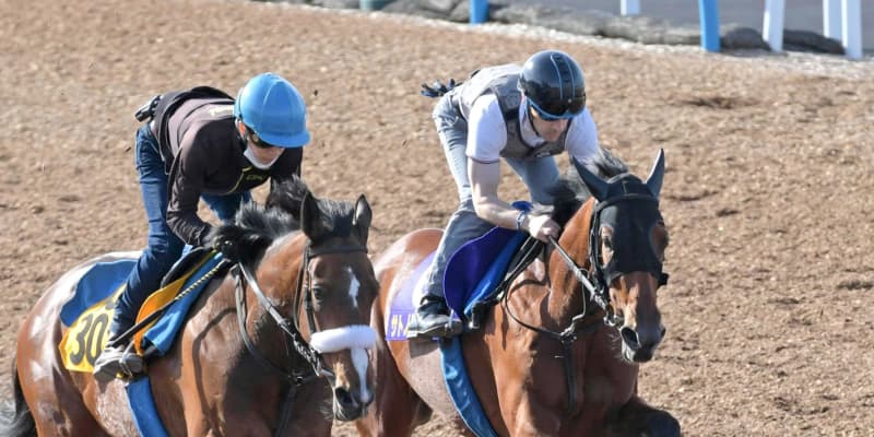 【日本ダービー】サトノレイナス偉業へ状態バッチリ　史上4頭目牝馬ダービー制覇挑む