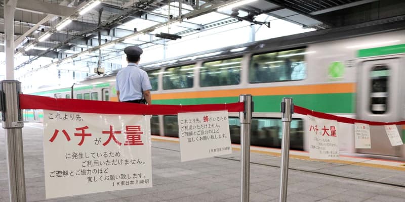 JR川崎駅にハチ大量発生か、東海道線ホームの一部封鎖