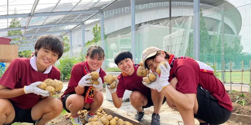 INAC神戸若手がノエスタ農園でジャガイモ収穫「INACカレー」材料に