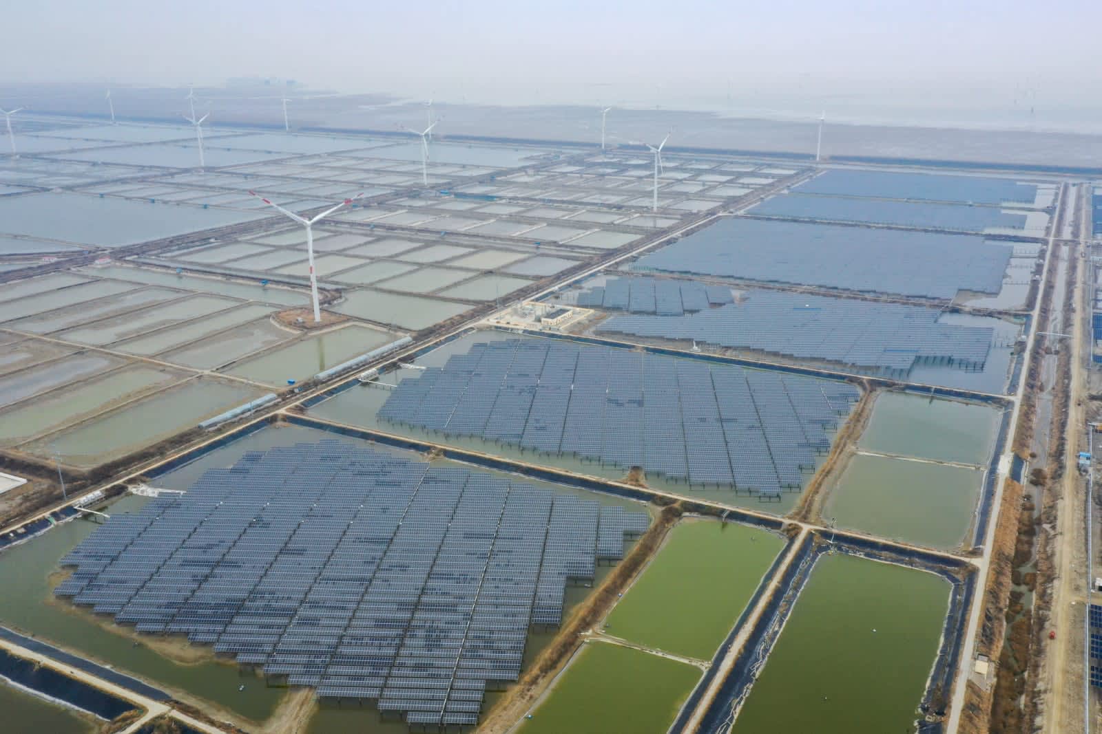 漁業・太陽光発電一体型モデルで土地利用を効率化　中国江蘇省如東県