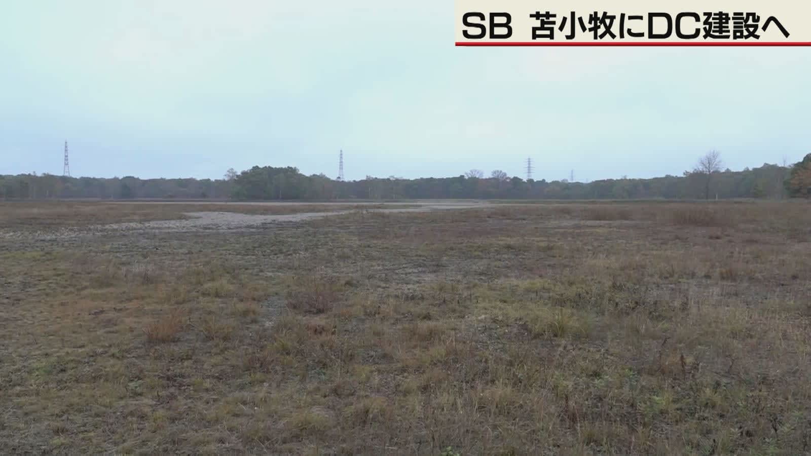 奄振法 来年度末期限切れ 群島の課題、展望は…「環境循環の島、ブランド化を」「企業には魅力的な投資先」 審議委員・三神万里子さんに聞く