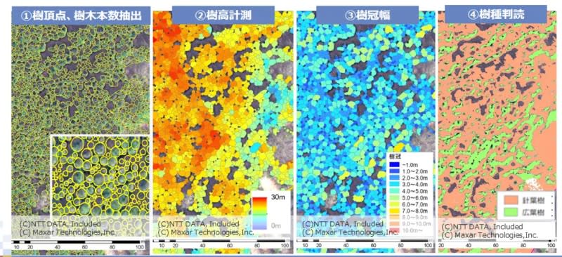 衛星データを森林経営とカーボンクレジット発行に活用–岡崎市で技術実証を開始