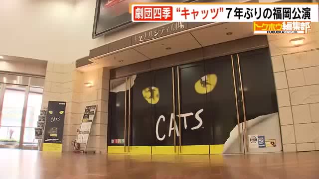 劇団四季 キャッツ ７年ぶり福岡公演 ご当地ゴミ などリアルな世界観 北九州出身俳優の思い 福岡市 M3news長崎