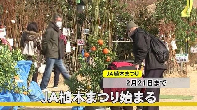 ｊａ植木まつり 始まる M3news長崎