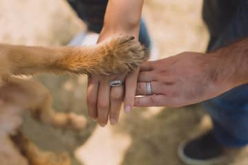 「ペットとの絆」75％の飼い主が実感　一緒に暮らしてポジティブな変化も