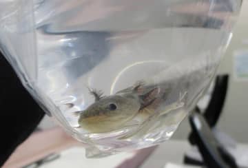 拾得物、現金9億5000万円超で過去最多　『たんす預金』遺品に紛れ捨てられたか　15万点増95万点　コロナ禍も人流回復で　千葉県警22年まとめ