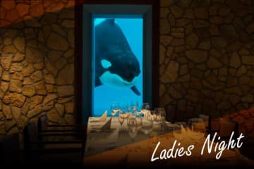 閉館後の水族館でリフレッシュ！　4月、女性限定日帰りプラン　鴨川シーワールド　夜のライトアップショーや飼育員と相席ディナー