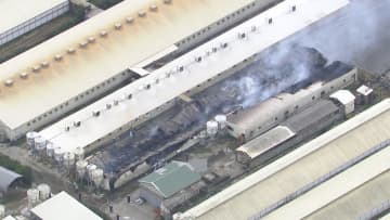 ブタ飼育場燃える 800頭死ぬ　従業員の男性1人けが