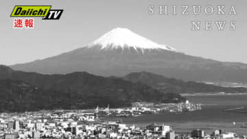 【センバツ】常葉大菊川（静岡）初戦で涙　専大松戸（千葉）の先制、完封許し０対３で敗退　２２日　大会５日目　第２試合