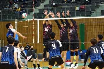 TOPICS摜