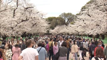 東京都心25度 2023年初の夏日　週末は急激な気温差に注意