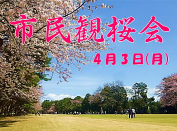 4/3（月）我孫子ゴルフ倶楽部で市民観桜会
