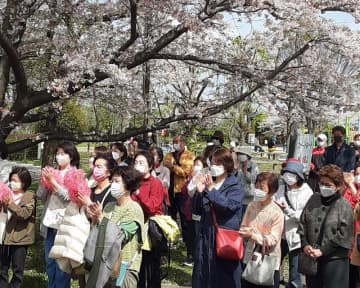 【速報】千葉県議選が告示、137人届け出　桜舞う中、9日間の短期決戦スタート