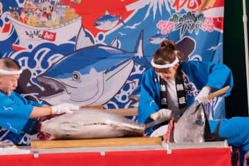 アンジュルム川村文乃、豪快な包丁さばきでマグロを解体