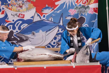 アンジュルム・川村文乃、豪快な包丁さばきでマグロを解体