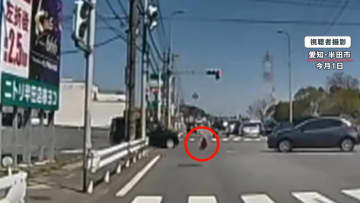 【魔の2歳児】車道に子供が飛び出しトラックが接近 救出の一部始終…予測不能な子供の行動に要注意「突然包丁持とうとしたことも…」