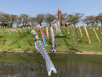 【流山】「うんがいい! こいのぼり 2023 元気に泳げ! みんなのこいのぼり」開催中