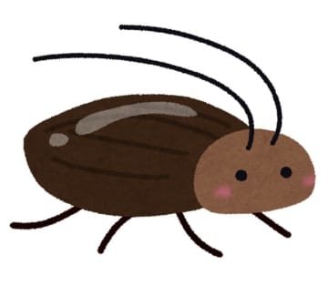コロナ自宅療養中にゴギブリ！殺虫剤がなく「キムチとスリッパ」で戦った一人暮らしの男性