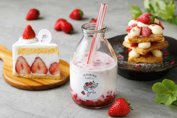 千葉県初出店！イチゴ好き歓喜のイチゴスイーツ専門店「ICHIBIKO（いちびこ）」、イクスピアリにオープン