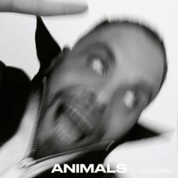 カッサ・オーヴァーオール、最新作『ANIMALS』の試聴&トーク・イベント開催