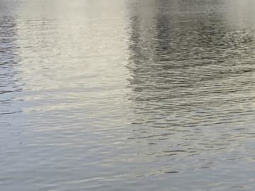 江戸川に女性の遺体浮かぶ　釣り人が通報　行徳署、身元調べる