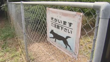 ジャーマン・シェパードが逃走　体長約1mの大型犬　銚子市の住宅から…警察の捜索続く　近隣小学校では登校見守り