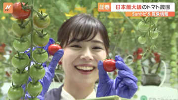 TOPICS摜