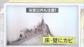 カビで健康被害も...梅雨対策は?　カビが入るのは「玄関」から